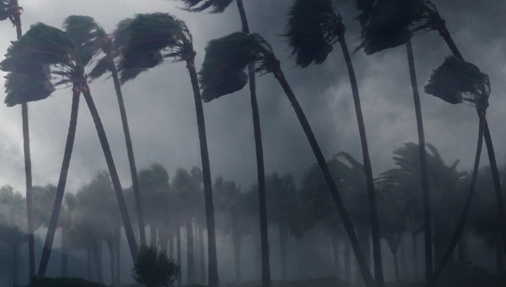 Hurricane Ian hitting Florida. The sky is dark, palm trees are bent sideways from the force of the wind.