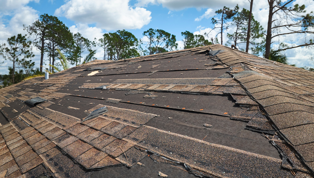 A severely damaged asphalt shingle roof with many missing and cracked shingles and visible underlayment after Hurricane Ian in Florida.