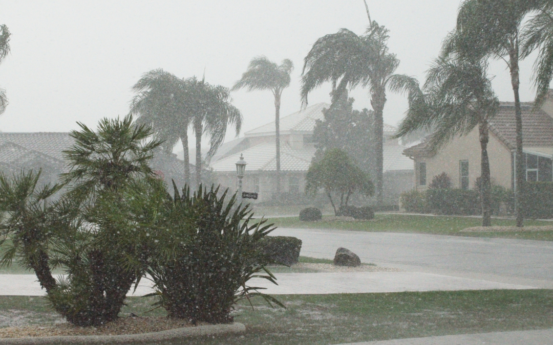 A residential neighborhood in Florida is hit by hurricane-force winds and rain. Palm trees bend in the wind.